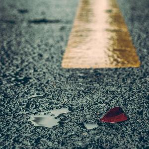 动画片乱伦免费观看
