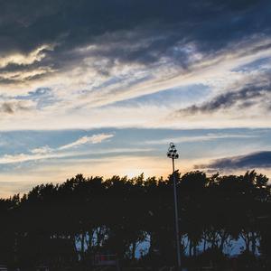 动画片乱伦免费观看
