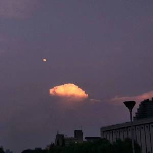 动画片乱伦免费观看
